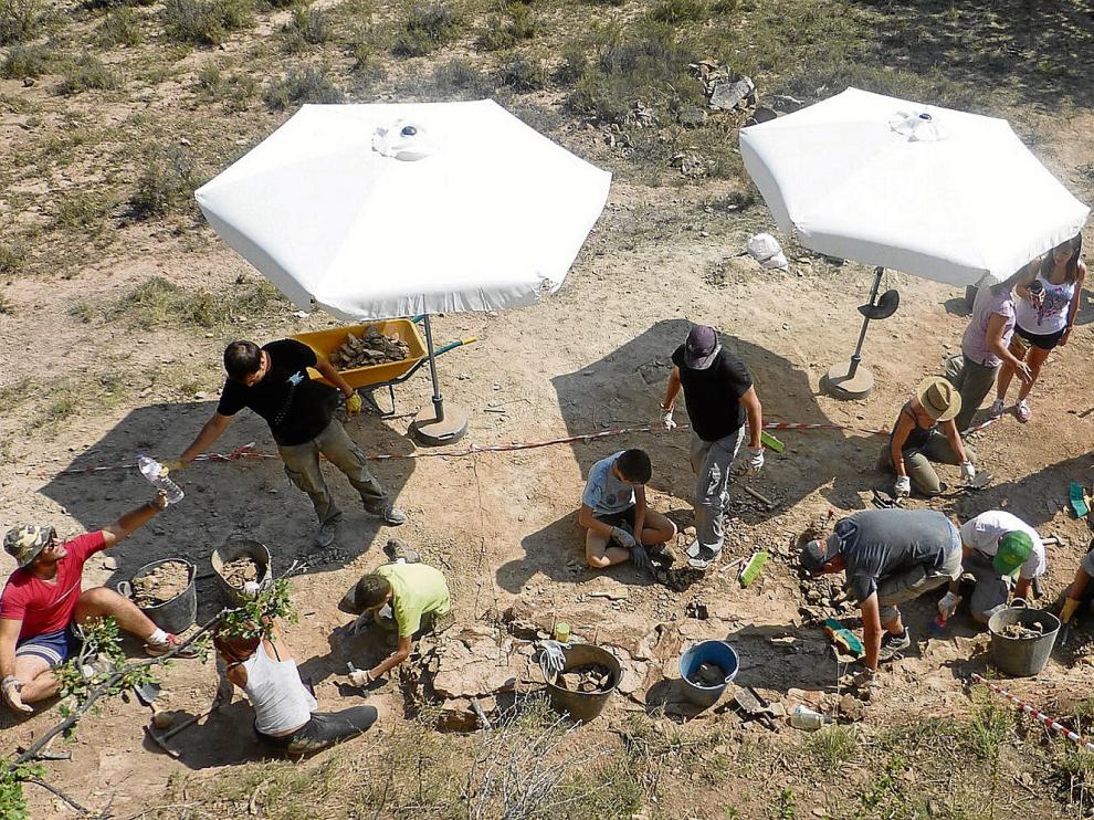 Imagen de una de las últimas excavaciones realizadas en yacimientos de El Castellar.