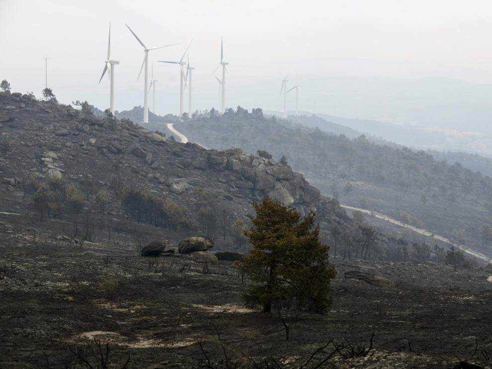 Vista de la superficie calcinada en el incendio forestal iniciado este jueves en Cualedro.