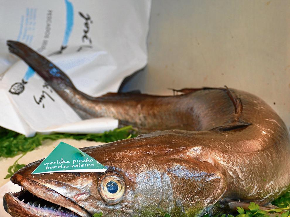 Una merluza de pincho de las que se pueden encontrar en las pescaderías aragonesas, llegadas del puertos del Cantábrico.