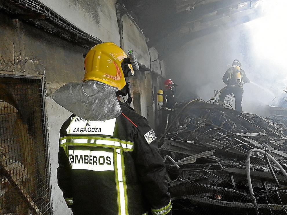 Un incendio arrasa una nave con 60.000 gallinas ponedoras en el polígono de Ricla