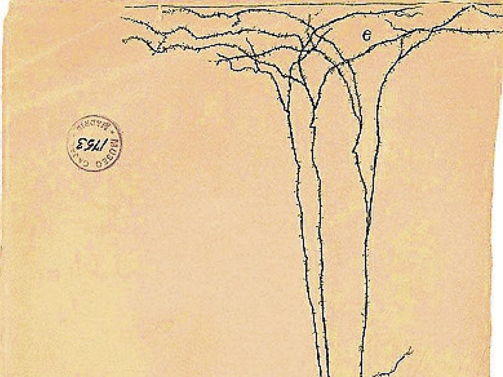 Dibujo de Ramón y Cajal.