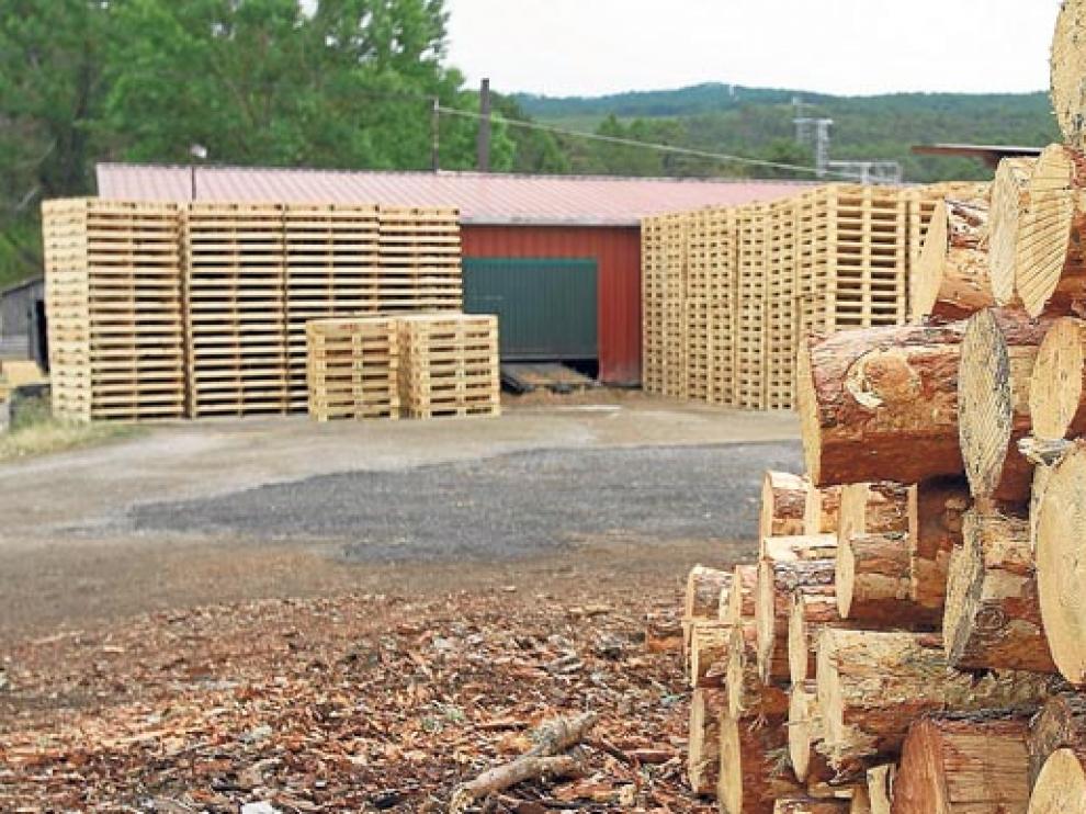 La venta de madera lleva dos años de crecimiento gracias a la biomasa y a la industria del tablero.