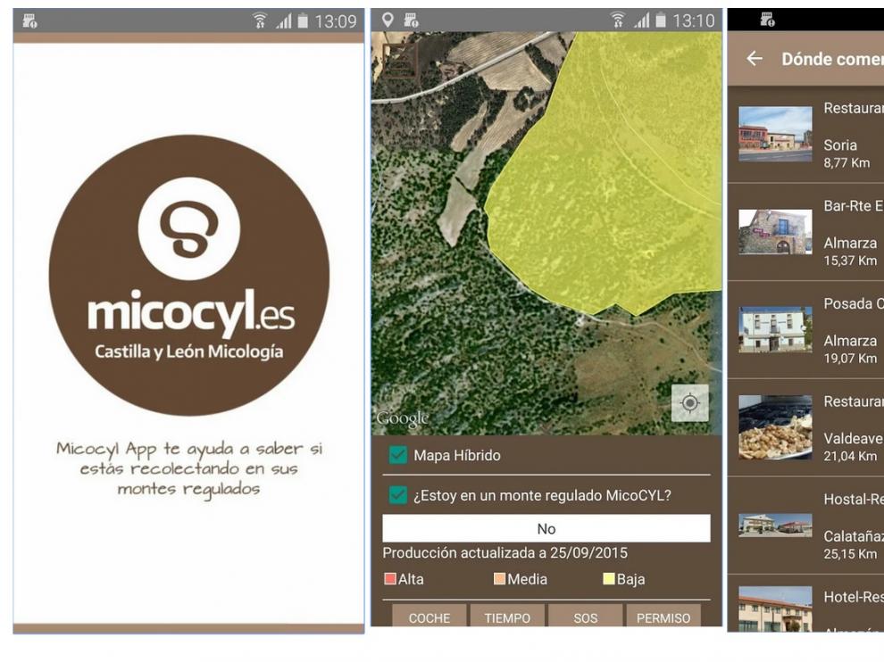 Capturas de pantalla de la aplicación para dispositivos móviles con sistema operativo Android.