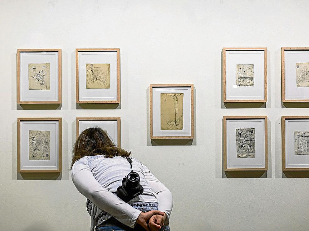 Una joven contempla un mosaico de dibujos de Cajal.