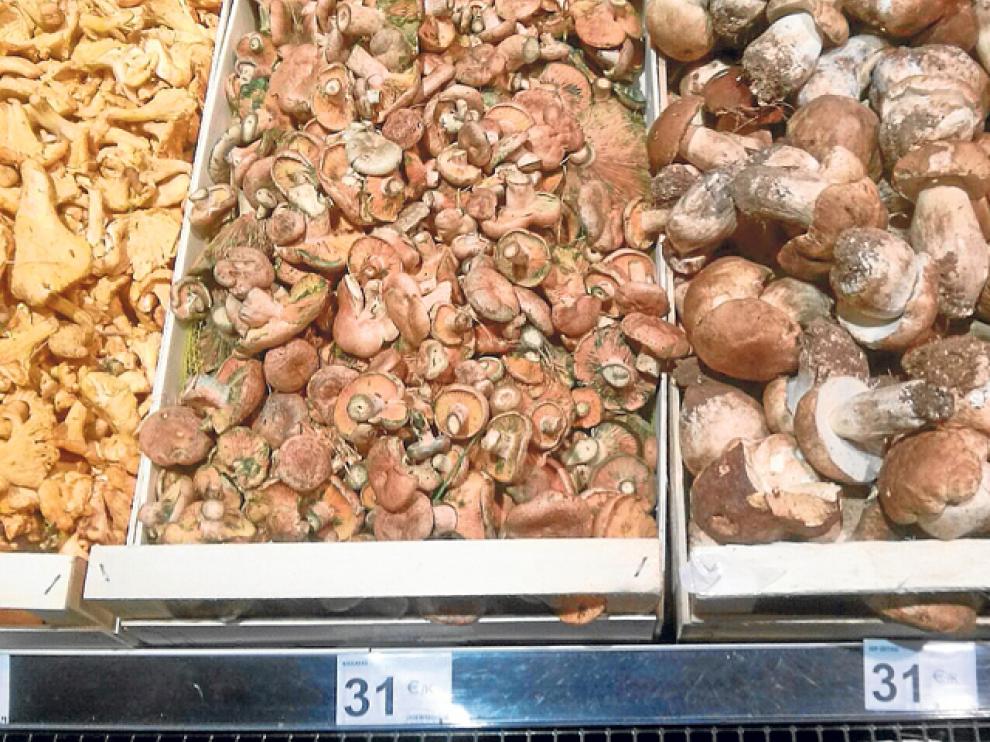 El kilo de boletus o níscalos supera los 31 euros en supermercados de Benidorm.