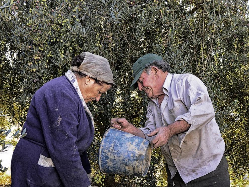 Imagen ganadora del pasado año del concurso foto Oleo