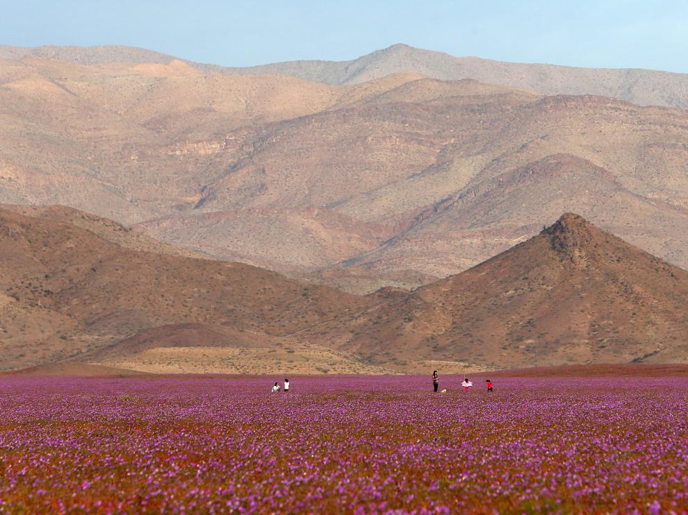Desierto en Chile