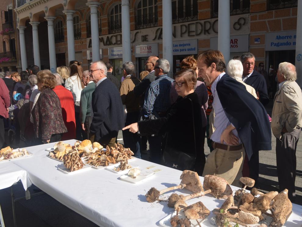 El Centro de Estudios del Somontano celebra la Fiesta de las Setas de Barbastro