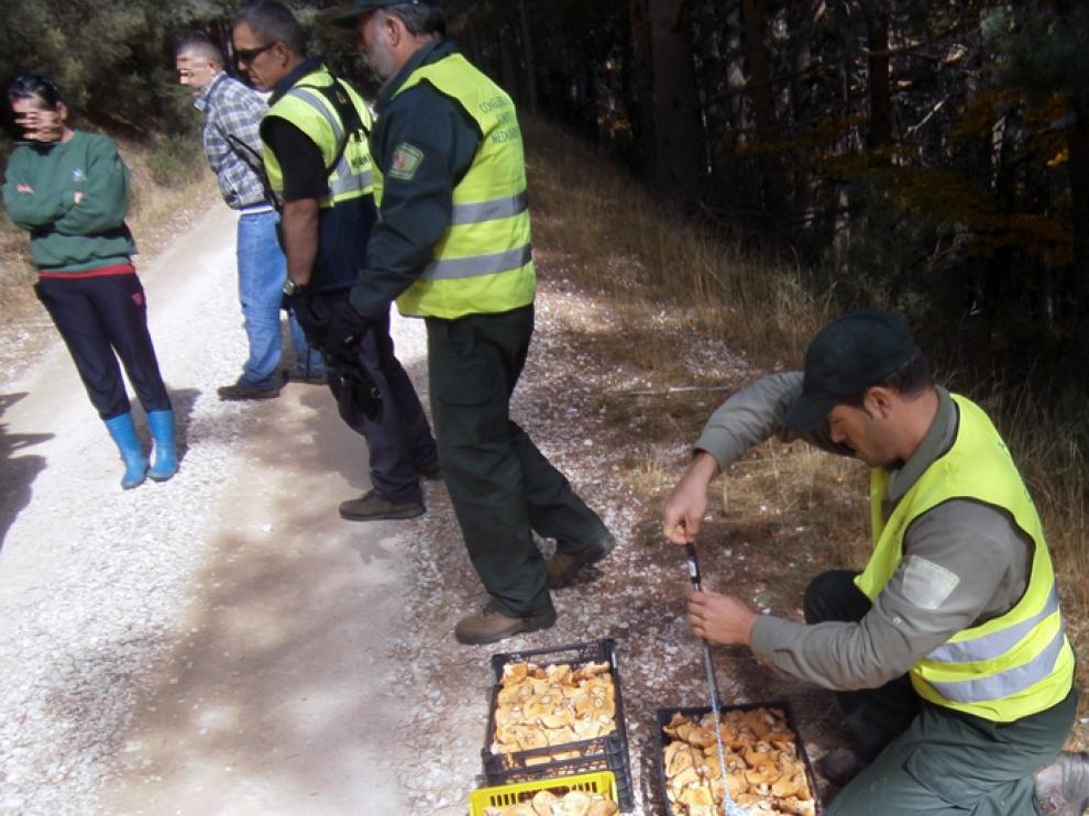 Uno de los decomisos realizados el pasado viernes en El Royo