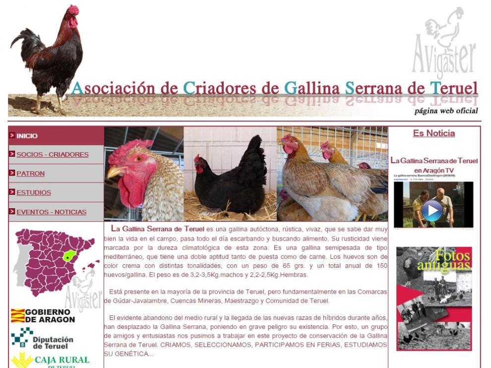 Web de la Asociación de Criadores de Gallina Serrana de Teruel