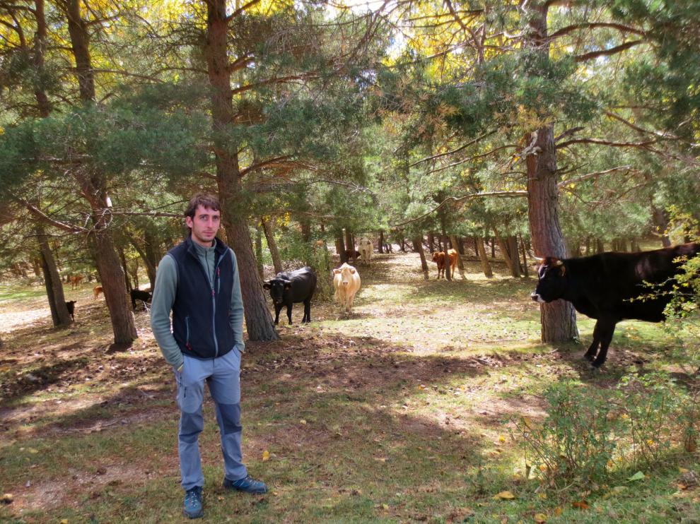 La Comarca de la Sierra de Albarracín quiere dar visibilidad a los emprendedores de la zona.