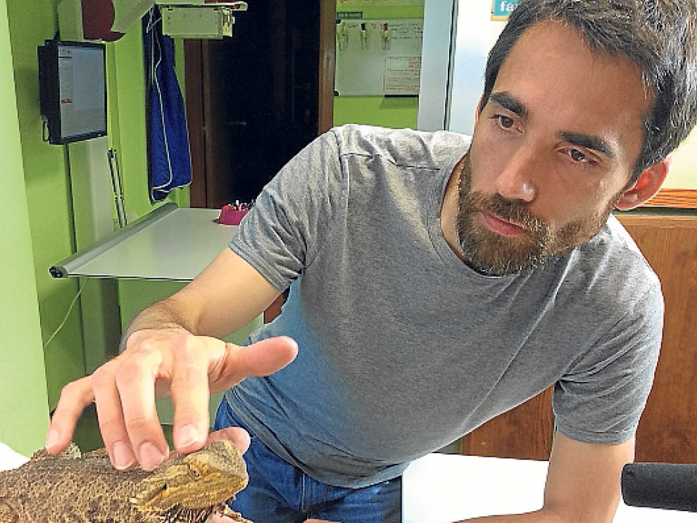 Ciencia para todos los públicos. Los tres finalistas de la categoría Divulgación en Aragón trabajan por acercar la ciencia a los más pequeños, desde las colonias urbanas Etopia Kids; al alumnado de Secundaria, con el proyecto CSI-Zaragoza ; y a la audiencia televisiva de Aragón TV, desde el programa 'En ruta con la ciencia'.