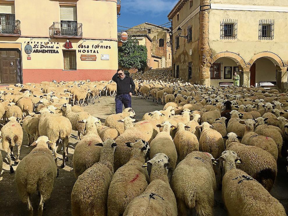 Las ovejas tomaron la plaza de Selgua (Monzón) en su camino hacia San Juan de Flumen.