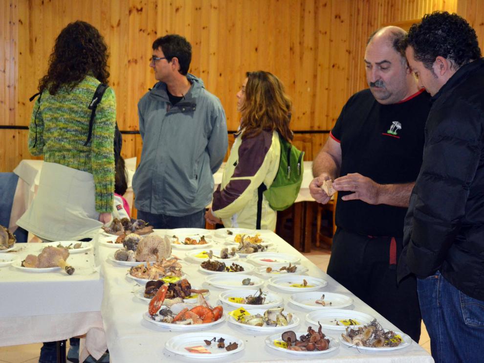 Jornadas micológicas de San Martín