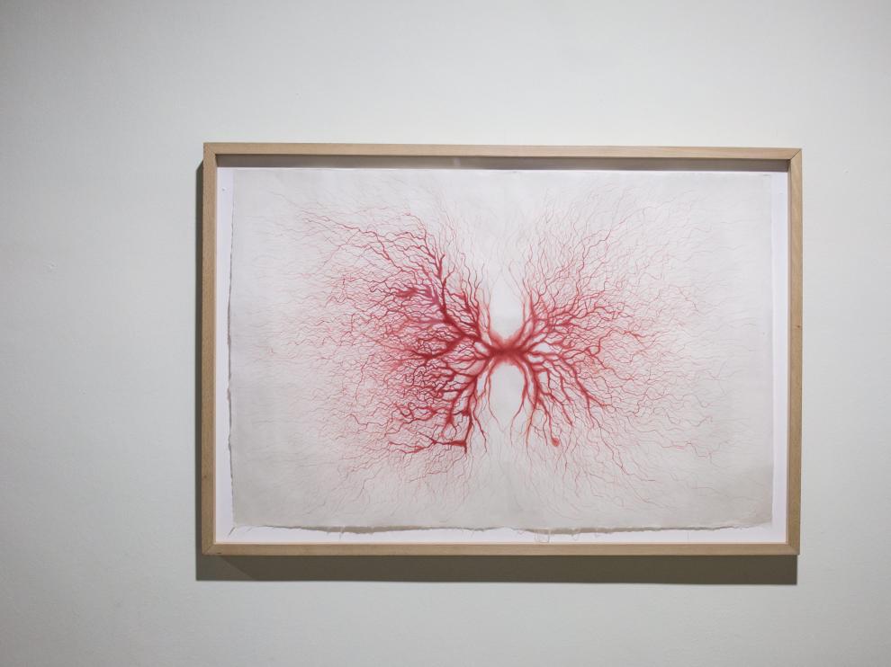 'Capilares rojos' (2001), de Javier Pérez.