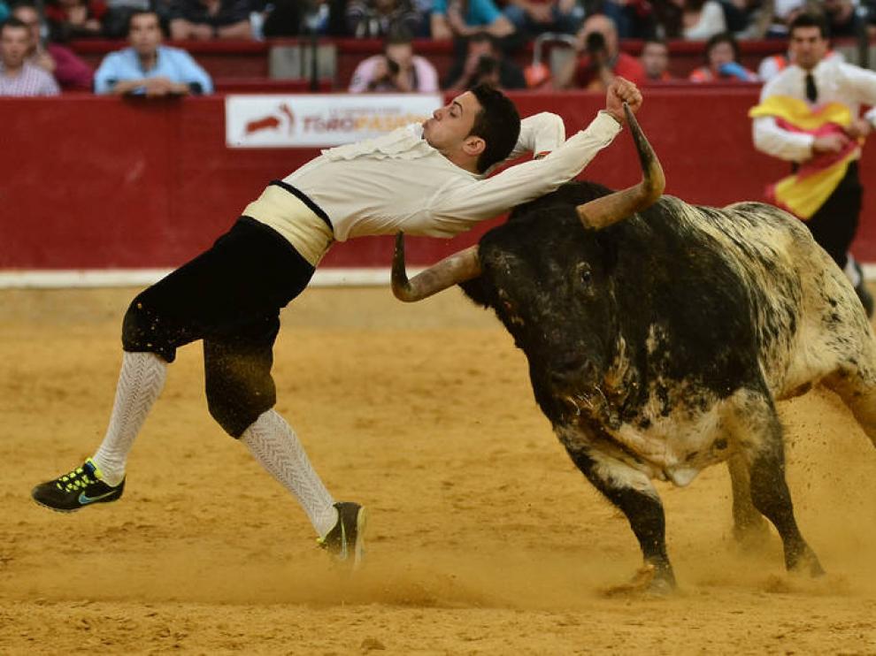 Los festejos taurinos reviven