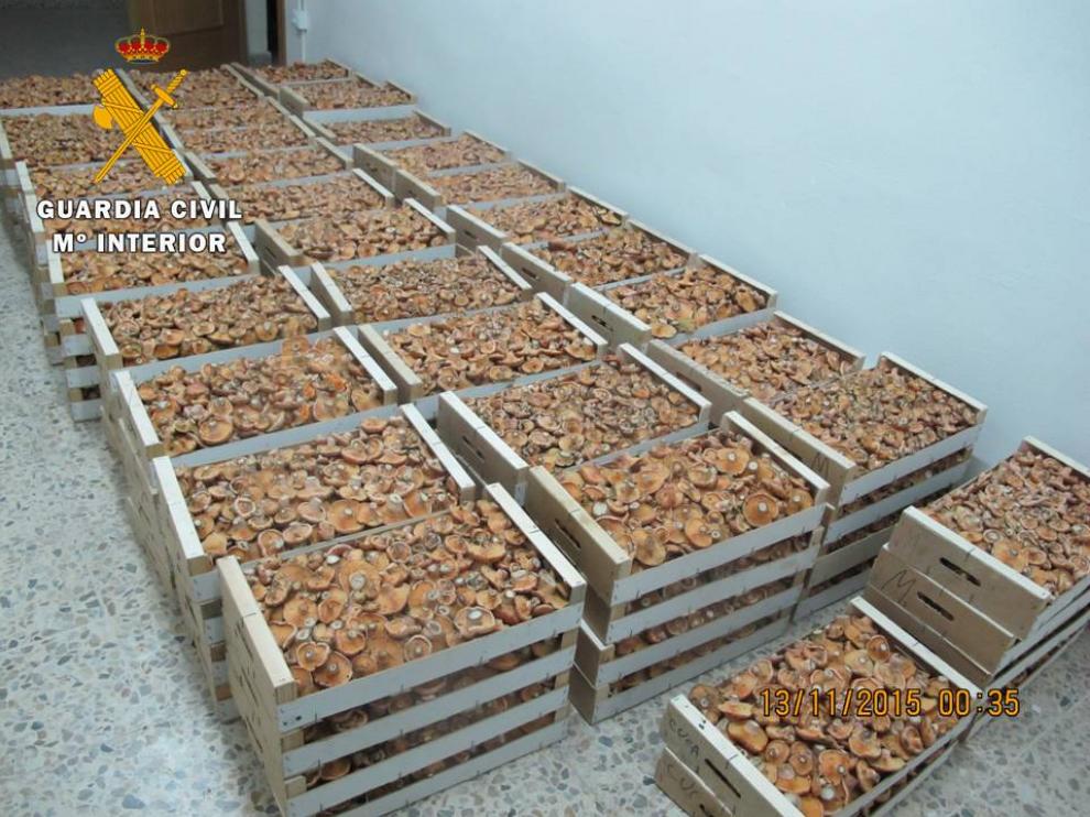 Se ha procedido a su destrucción por no considerarse aptos para el consumo humano.