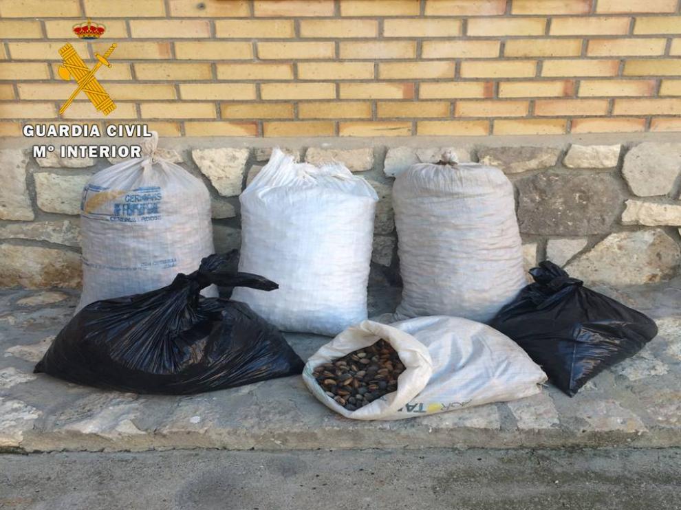 Bolsas de almendras intervenidas en el interior del turismo.