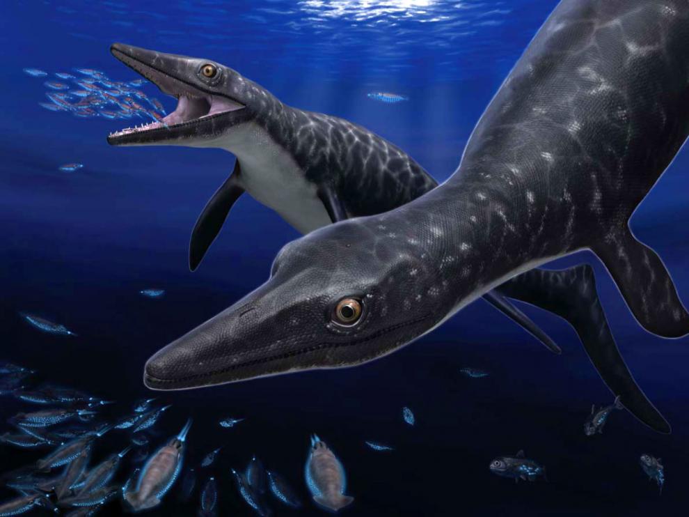 Una recreación del reptil marino que habitó hace 72 millones de años