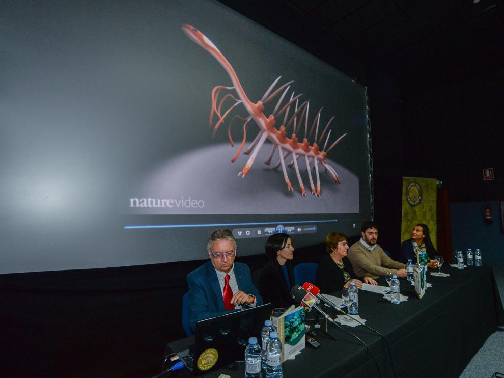Una imagen del acto, con una imagen del animal en la pantalla