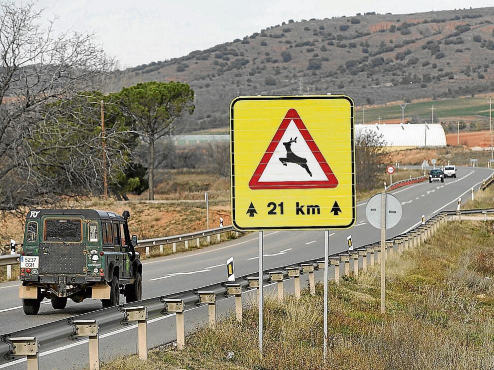 Una señal advierte del peligro de aparición de animales en la N-234 entre Calamocha y San Martín.