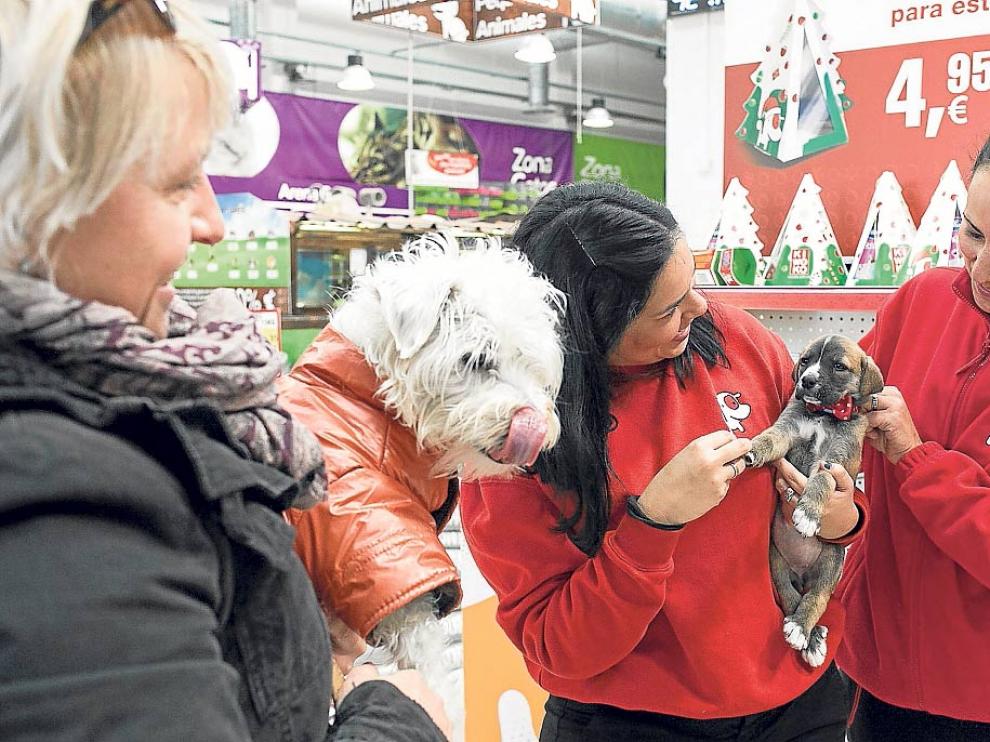 Dependientas de la tienda de artículos para mascotas Kiwoko, atendiendo a una clienta.