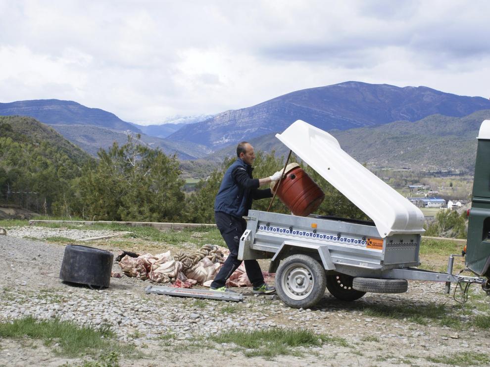 La DGA pacta un seguro más barato para los ganaderos que alimenten las aves necrófagas