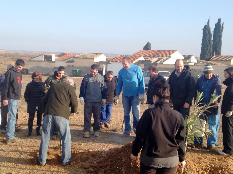 Los vecinos han plantado varios ejemplares junto al cementerio.