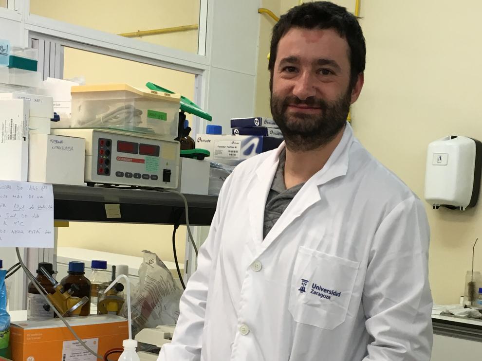 En la imagen, Ignacio Aguiló, en el laboratorio de la Universidad de Zaragoza.