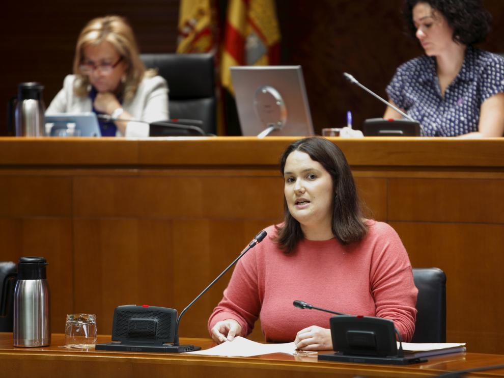 Natalia Salvo, directora del IAM, en una intervención en las Cortes