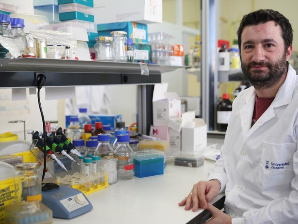 ?Ignacio Aguiló, en el laboratorio de la Facultad de Medicina de Zaragoza donde trabaja y se diseño la vacuna contra la tuberculosis.
