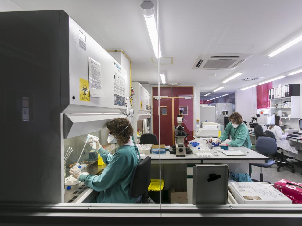 Un laboratorio del Miguel Servet, el centro sanitario aragonés que más ensayos médicos hace.