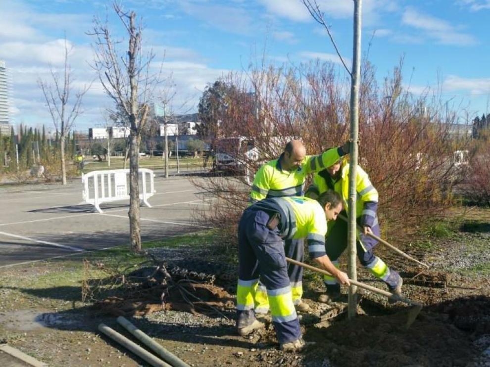El Parque del Agua planta 600 nuevos árboles