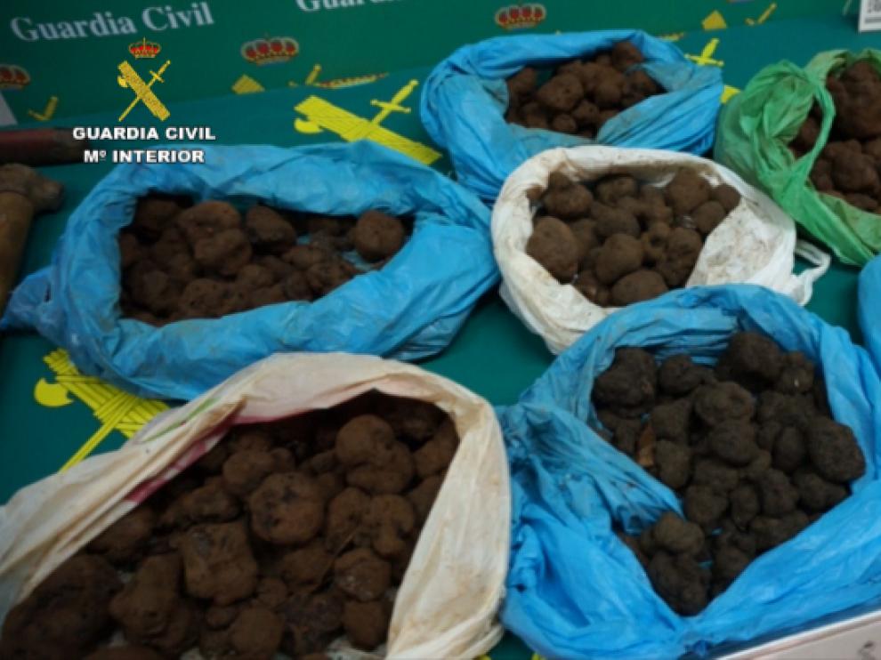 En el momento de la detención portaban más de 9 kilos de trufa negra y utensilios como cámaras nocturnas, linternas frontales, GPS y herramientas diversas.