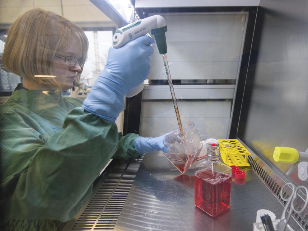 Un empleado de laboratorio cultiva células infectadas por el virus del Zika en Dassow (Alemania).