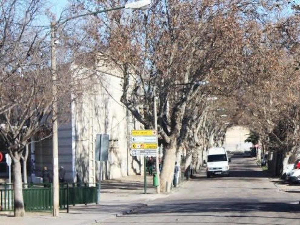 La renovación de la red de la Avenida de la Constitución de Casetas salvará el arbolado