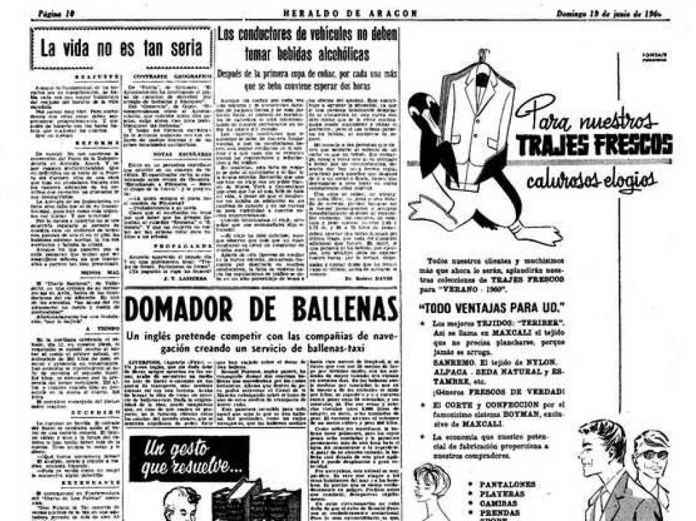 Ballenas-taxi, un nuevo transporte para 'snobs'