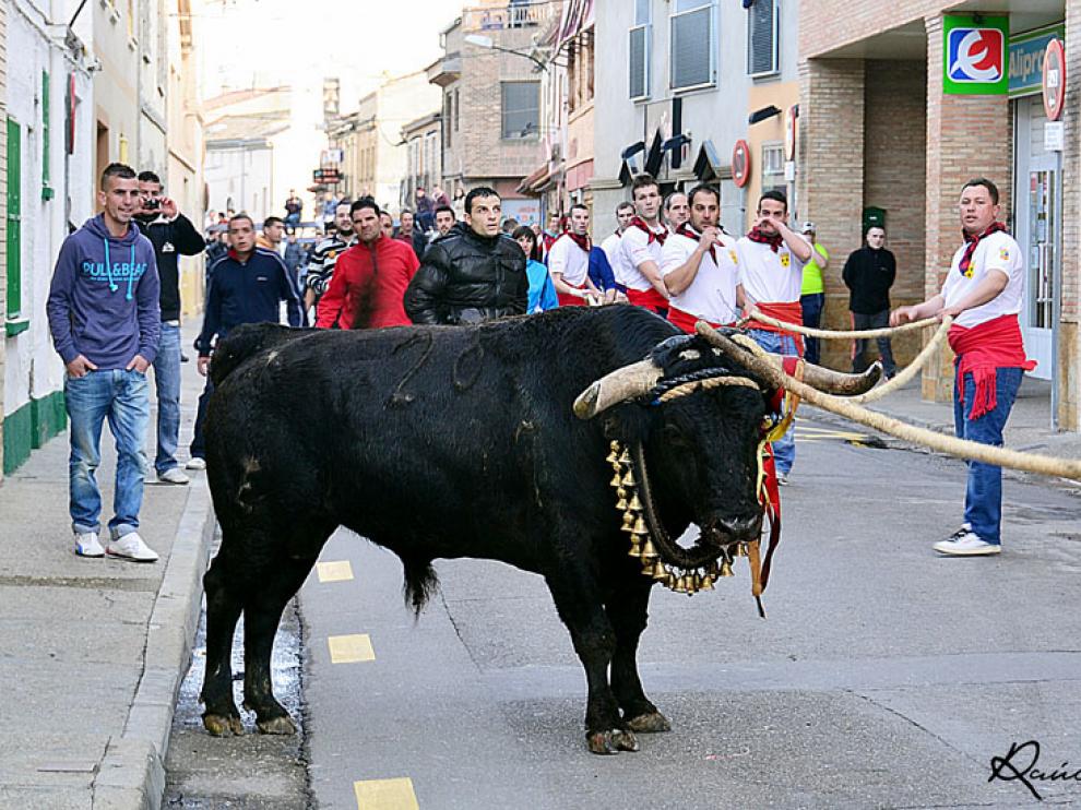 Celebración del toro de soga en las calles de San Juan.