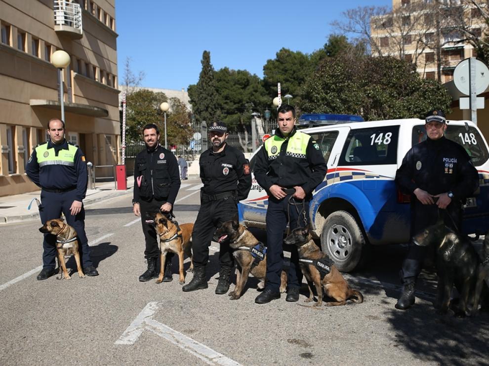 Responsables de unidades caninas muestran en Zaragoza su labor