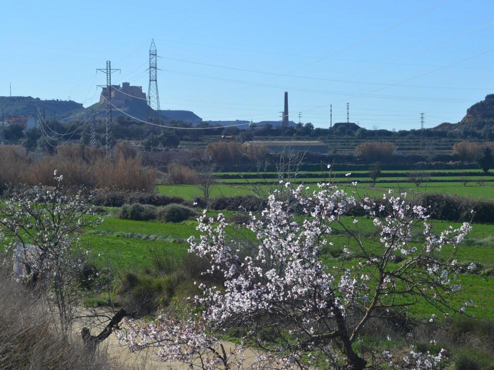 Terrenos donde se va a instalar la planta y, al fondo, el casco urbano de Monzón?.