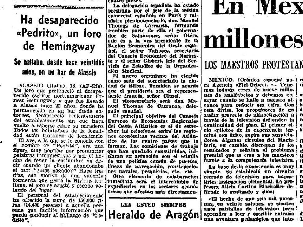 El loro de Hemingway.