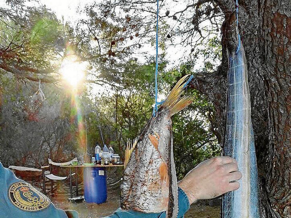 Quinto reclama mayor presencia policial para evitar la pesca furtiva