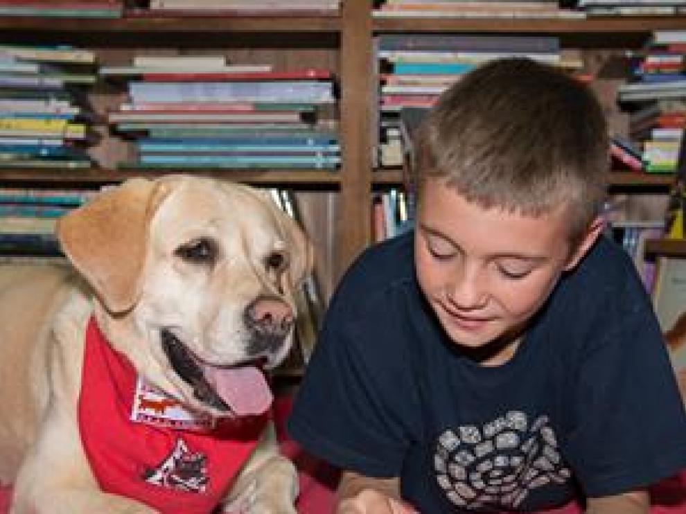 Perros que fomentan el hábito de la lectura