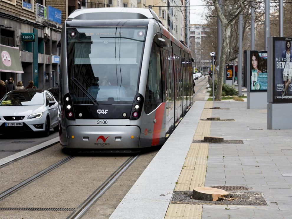 Tala de árboles en Gran Vía