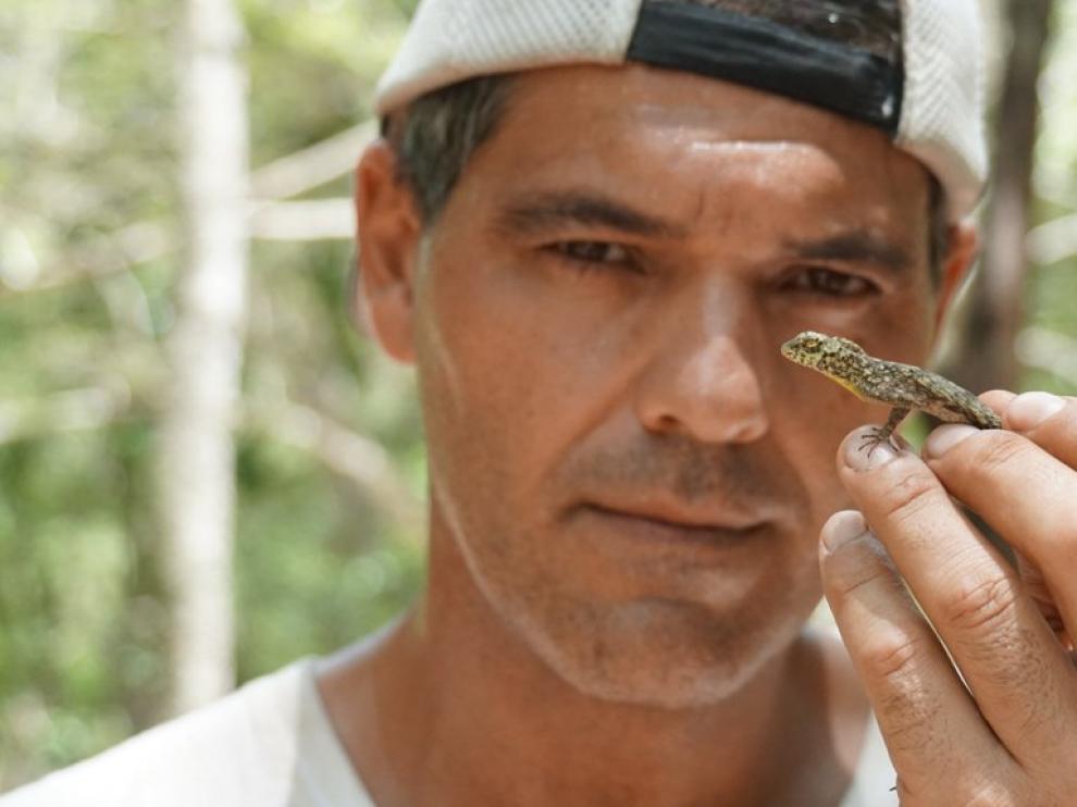 Frank Cuesta, el popular presentador de 'Wild Frank', pondrá voz a uno de los personajes de la nueva película de 'El libro de la selva'.