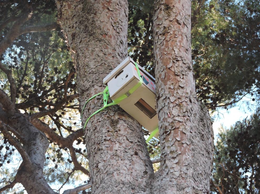 La caja colocada por los bomberos en el parque Miguel Servet.