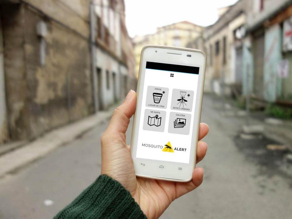 Con la app Mosquito Alert, cualquier persona puede notificar un posible hallazgo de mosquito tigre o de sus lugares de cría enviando una foto.