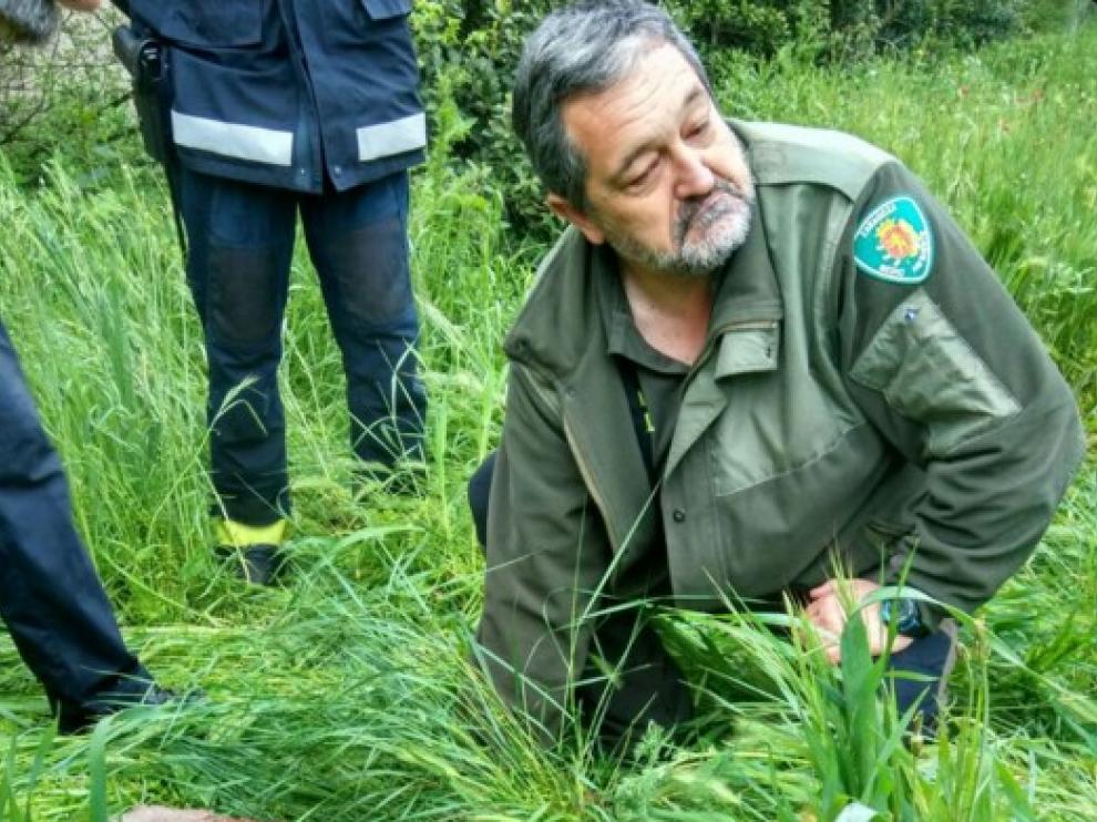 El animal ha aparecido en las inmediaciones del hospital a primera hora de la mañana.