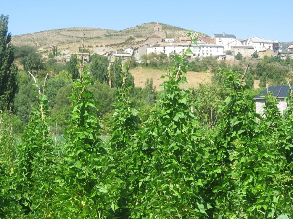 Campo de boliches de Embún.