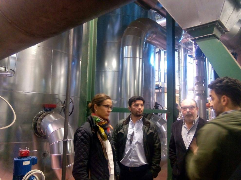 El secretario del departamento de Calidad del Aire de la región de Los Ríos, en el sur de Chile, Jean Paul Pinaud, en la central térmica de Rebi de Soria.